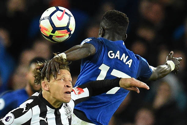 文化适应性 文化适应性