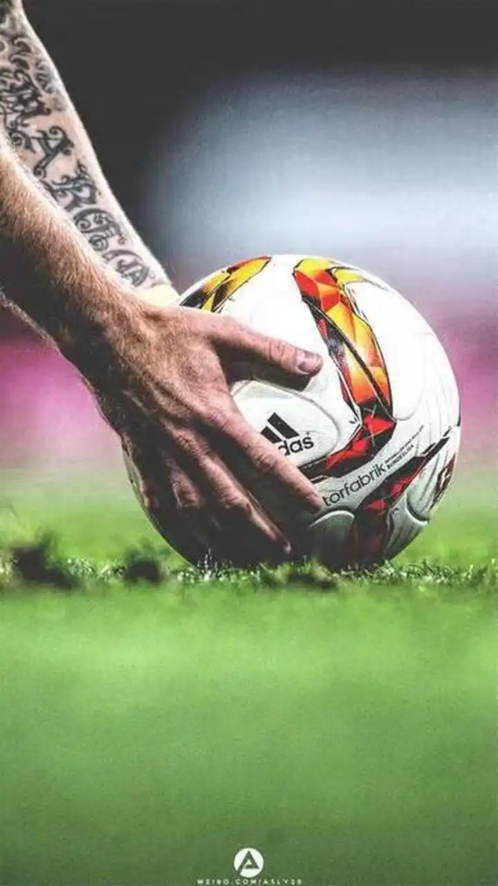 到了生涯末 到了生涯末