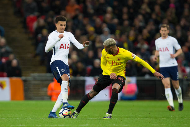 家队的核心 家队的核心